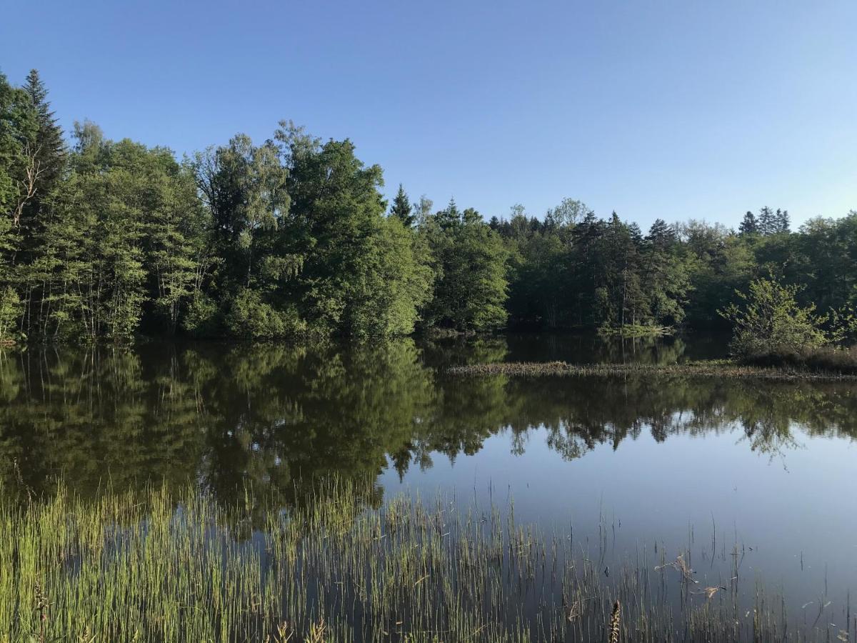 Gite Des Prary Des Mille Etangs Ternuay-Melay-et-Saint-Hilaire ภายนอก รูปภาพ