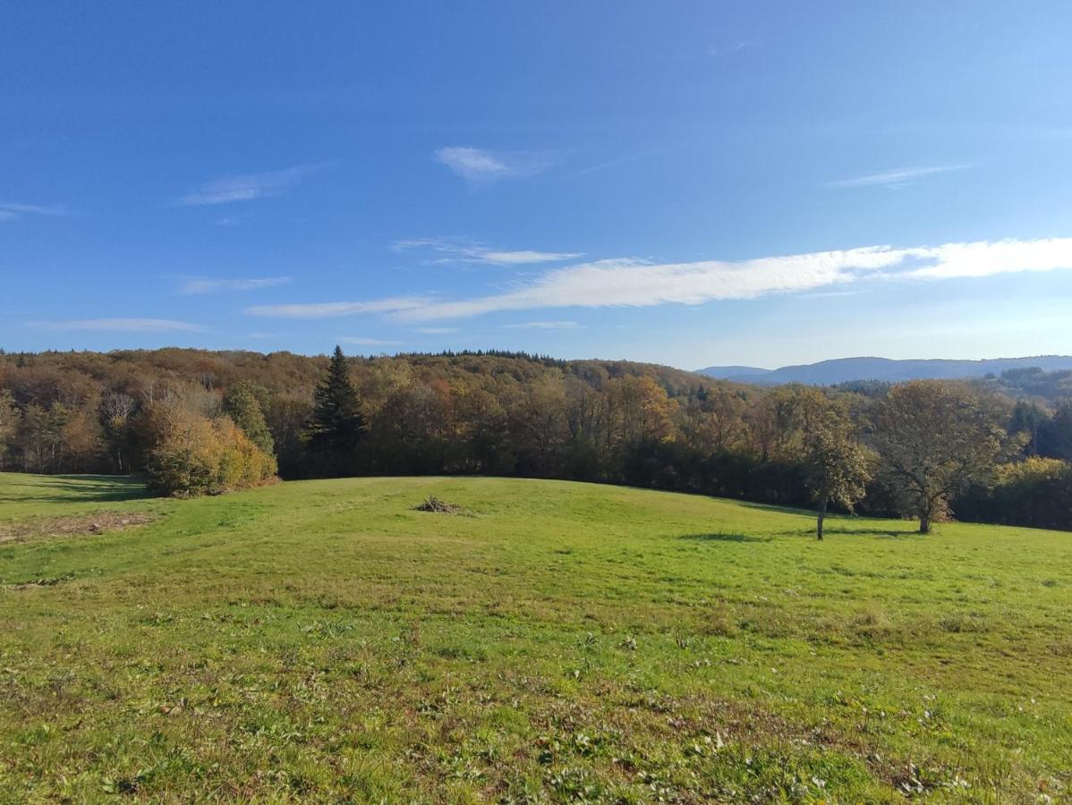 Gite Des Prary Des Mille Etangs Ternuay-Melay-et-Saint-Hilaire ภายนอก รูปภาพ
